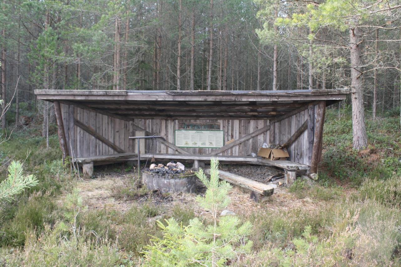 The Sleepy Moose Hostel Rofors Exterior foto
